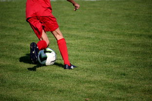 九游官网-中国篮球职业联赛俱乐部青训体系建设，全国篮球俱乐部青年联赛